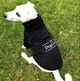 Худи для собак DogClub Brand L Black - изображение 1