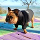 Худи для собак DogClub Security XXL Black - изображение 2