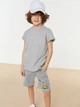 Набор детских футболок 2 шт для мальчика Trendyol ТКДСС22ТС0674 122-128 см Серый/Голубой (8683046291766) - изображение 4