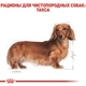Сухой корм Royal Canin Dachshund Adult - сухой корм для такс от 10 мес. 7,5 кг (30590175) - изображение 3