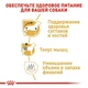 Сухой корм Royal Canin Dachshund Adult - сухой корм для такс от 10 мес. 7,5 кг (30590175) - изображение 4