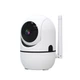 Внутренняя панорамная камера WiFi Tervix Pro Line Minion Cam WiFi - изображение 2