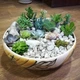 Суккулент микс (композиция из суккулентов и различного декора) GreenLife 12.97 - изображение 6