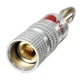 Штекер типа банан, акустический коннектор Nakamichi Banana Plug 4 мм Silver/Red (48510) - изображение 3