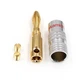 Штекер типа банан, акустический коннектор Nakamichi Banana Plug 4 мм Silver/Red (48510) - изображение 5