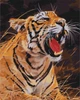 Картина за номерами Brushme Рев тигра 40x50 см BS52414 - зображення 1