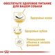 Сухой корм Royal Canin Shih Tzu Adult – сухой корм для ши-тца от 10 мес., 7.5 кг (2200005) - изображение 4