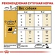 Сухой корм Royal Canin Shih Tzu Adult – сухой корм для ши-тца от 10 мес., 7.5 кг (2200005) - изображение 5