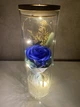 Троянда у скляній прозорій колбі Just for You квітка з LED підсвічуванням 25 см Синя (Rose-S1) - зображення 1