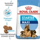 Сухой корм Royal Canin Maxi Starter – твердый корм для щенков больших пород, 4 кг (29940400) - изображение 2