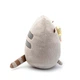 М'яка іграшка кіт з морозивом Pusheen cat Сірий + подарунок (vol-1044) - зображення 3