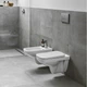 Geberit SELNOVA Square унитаз подвесной, воронкоподобный, Rimfree (500.275.01.1) - изображение 4
