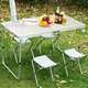 Розкладний стіл 120 х 60 см Folding Table_2 Сірий туристичний для пікніка з 4 стільцями в валізі - зображення 2