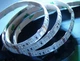 Светодиодная лента BY-009/60 LED 5050 RGB WHITE PCB 1m Стр. Brille 183972 - изображение 1
