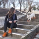 Гумове взуття шкарпетки для малих собак PawZ Оранжевий 4шт XS(3.1-5.1см) (PWZ-XS4) - зображення 4