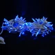 Гирлянда ColorWay IP65 10м 100Led голубой свет (CW-GO-100L10BL) - изображение 10