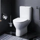 Унитаз-компакт AM.PM Like безободковый с сиденьем Soft Close C80A8700SC - изображение 10