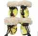 Сапоги для собак "Fashion" Yellow Size 1 - изображение 1