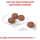 Сухой корм Royal Canin Mini Digestive Care – для собак малых пород с чувствительным пищеварением, 8 кг (2447010) - изображение 4