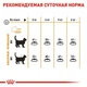 Cухой корм Royal Canin Hair and Skin Care – для взрослых кошек с проблемной кожей и шерстью, 10 кг (2526100) - изображение 5