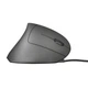 Мышка Trust Verto Ergonomic (22885) - изображение 3