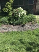 Декоративний парканчик садовий MAY Завиток малий білий 40x60 см 1 секція - зображення 7