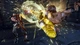 Ключ активації Steam | TEKKEN 7: Season Pass 2 - зображення 4