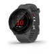 Спортивний годинник GARMIN Forerunner 55 Monterra Grey (010-02562-13) - зображення 1