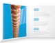 Струни для акустичної гітари D'Addario XSAPB1253 XS PHOSPHOR BRONZE LIGHT (12-53) - зображення 5