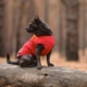 Жилет для собак Pet Fashion E.Vest M-2 - червоний - изображение 7
