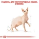Сухой корм Royal Canin Sphynx Adult – для взрослых кошек породы Сфинкс от 12 месяцев, 10 кг (2556100) - изображение 3