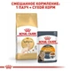 Сухой корм Royal Canin Sphynx Adult – для взрослых кошек породы Сфинкс от 12 месяцев, 10 кг (2556100) - изображение 4