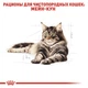 Сухой корм Royal Canin Maine Coon Adult – для взрослых кошек породы Мейн Кун от 15 мес, 10 кг (2550100) - изображение 3