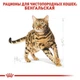Сухий корм Royal Canin Bengal Adult - для дорослих кішок породи Бенгальська від 12 місяців, 10 кг (4370100) - зображення 3