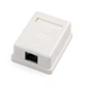 Компьютерная розетка RJ45x1 UTP cat.5e 8P8C Vinga (VCPRJ45O1NE) - изображение 1