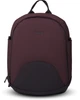 Універсальна коляска 2 в 1 Anex m/type Grape (Sp28-Q) - зображення 8