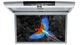 Монитор потолочный Clayton SL-1740 Full HD GR - изображение 2