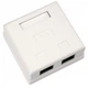 Комп'ютерна розетка RJ45x2 UTP cat.5e 8P8C Vinga (VCPRJ45O2) - зображення 1