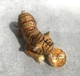 Скринька-Статуетка Royal Tiger з баксом - зображення 2
