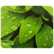 Коврик для мыши Defender Sticker (50405) - изображение 8