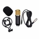 Микрофон студийный конденсаторный Music D.J. M 800 Black and Gold - изображение 3