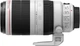 Объектив Canon EF 100-400mm f/4.5-5.6L IS II USM (9524B005) - изображение 4