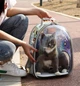 Рюкзак переноска Pet Cat для домашніх тварин (кішок, собак, кроликів, птахів), голограма (код: IBH007S) - зображення 10