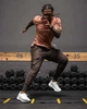 Штаны мужские спортивные летние джоггеры Gym Wolf коричные XL - изображение 8