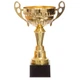 Кубок спортивный с ручками приз спортивный SP-Sport Heroe 8032B высота 32,5 см Gold - изображение 1