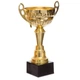 Кубок спортивный с ручками приз спортивный SP-Sport Heroe 8032B высота 32,5 см Gold - изображение 3