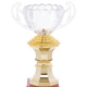 Кубок спортивный с ручками приз спортивный SP-Sport Heroe 8953 высота 23 см Gold - изображение 3