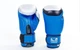 Перчатки для бокса и единоборств BAD BOY кожаные 5433 Blue-Black-Silver 12 унций - изображение 1