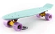 Скейт Пенни Борд Penny FishSkateboards Mint 22" мятный, лиловые колеса - изображение 2