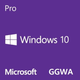 Операционная система Microsoft Windows GGWA - Windows 10 Professional Commercial, Perpetual (DG7GMGF0CGSH_0005) - зображення 1